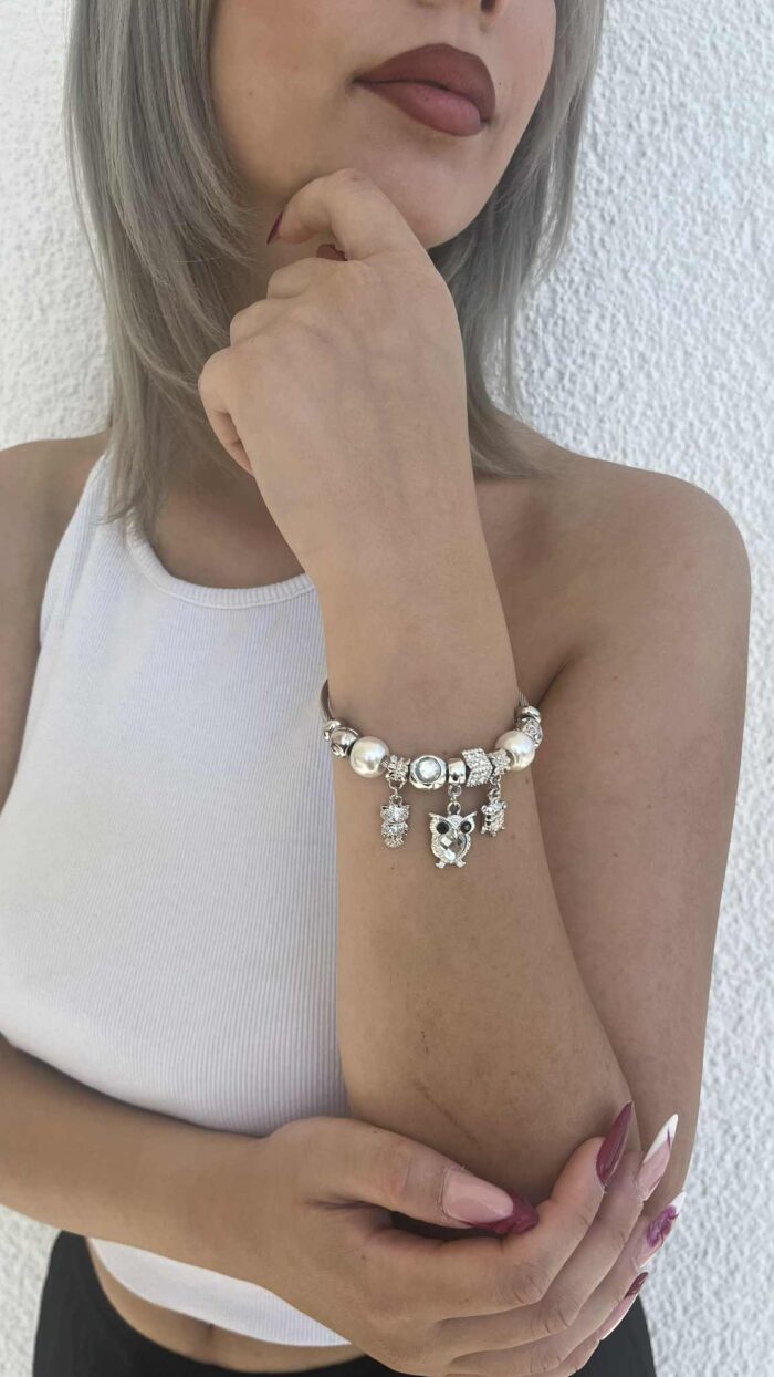 Βραχιόλι Silver