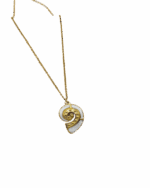 White Shell Necklace